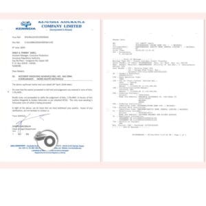 Some of the documents linking  Laichena Mugambi in scandal