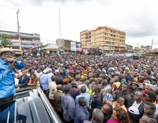 President William Ruto Mt kenya