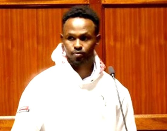 Skyline Works Limited boss Abdul Hassan Tahalil